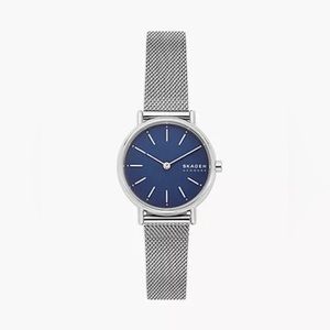 Women’s Skagen Denmark Signatur Lille Steel Mesh Watch